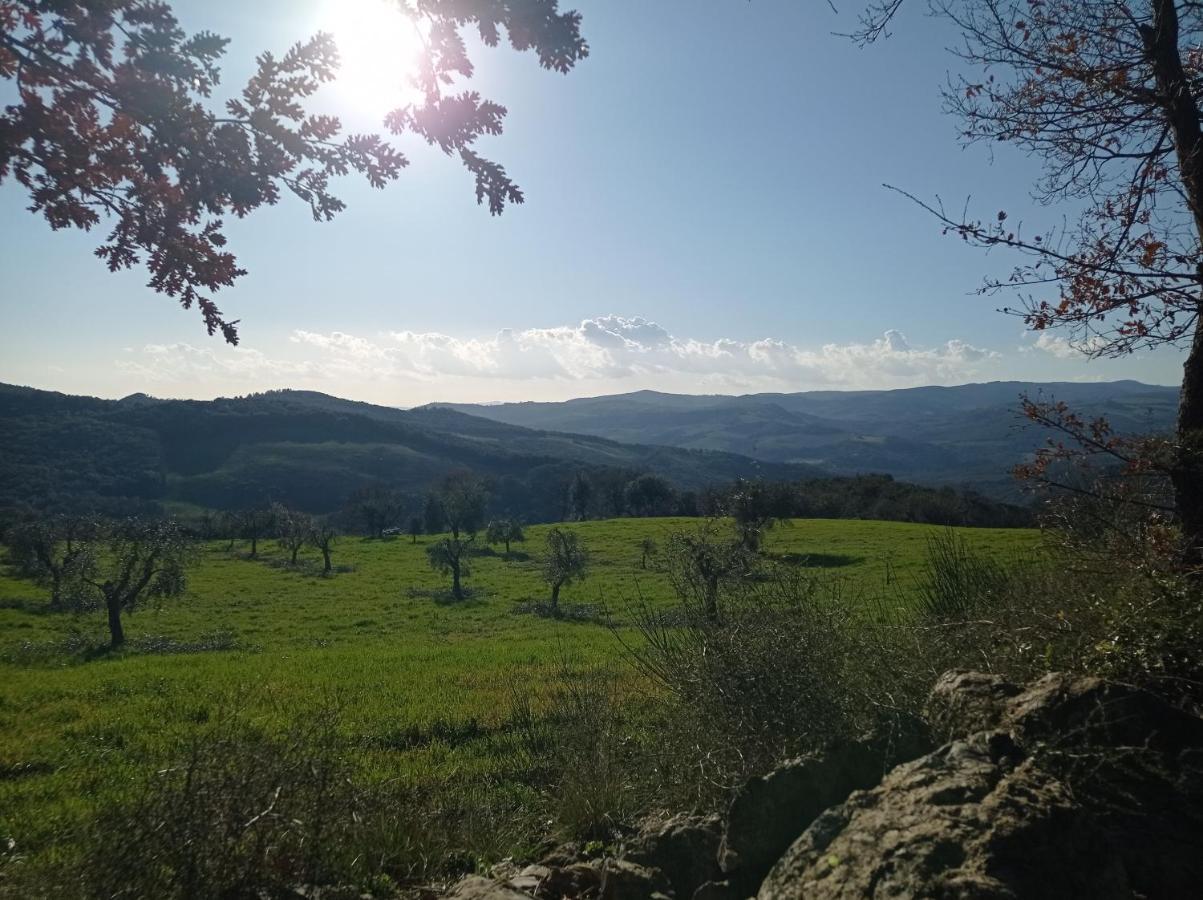 Splendido Ampio Appartamento A Montepulciano Stazione Exterior foto